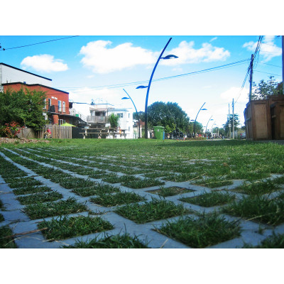 Rasengitterstein Recycling Rasenwabe 60 t belastbar 8 x 40 x 60 cm grau