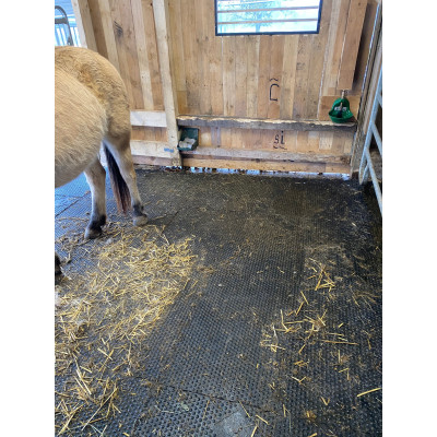 Stallmatte Vollgummi 205 cm x 129 cm – 2,5 cm stark – Puzzlesystem – Pferdestall & Kuhstall