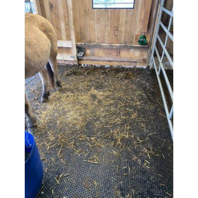 Stallmatte Vollgummi 205 cm x 129 cm – 2,5 cm stark – Puzzlesystem – Pferdestall & Kuhstall