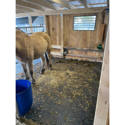 Stallmatte 20 mm aus Vollgummi – Puzzlematte für Pferdebox & Kuhstall