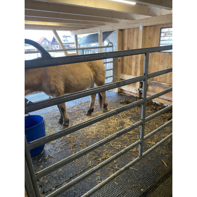 Stallmatte 20 mm aus Vollgummi – Puzzlematte für Pferdebox & Kuhstall