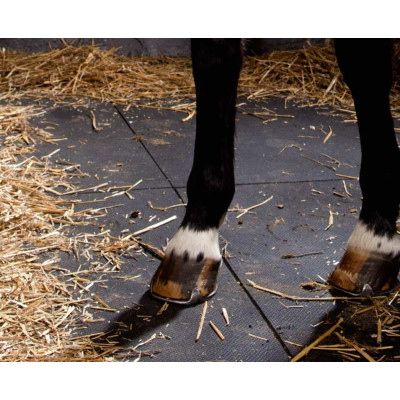 Vollgummi-Stallmatte 1500 × 1000 × 18 mm – Anthrazit