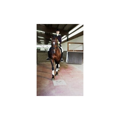 Stallplatten 50 x 50 x 4 cm, Quadratmeter, rotbraun