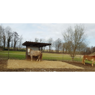 INB Paddockplatte, Reitplatzplatte 50 x 50 x 5,3 cm