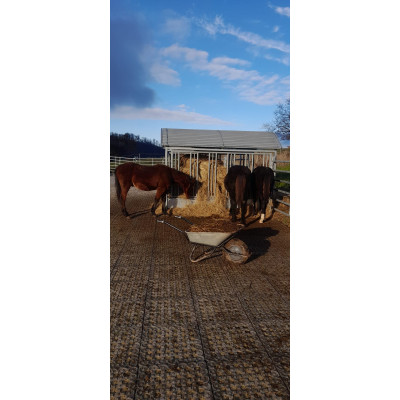 INB Paddockplatte, Reitplatzplatte 50 x 50 x 5,3 cm