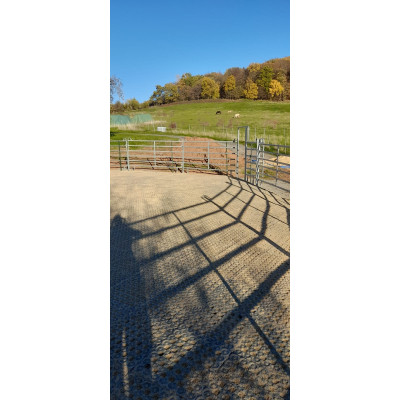 INB Paddockplatte, Reitplatzplatte 50 x 50 x 5,3 cm