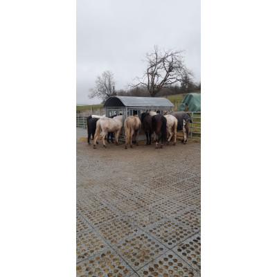 INB Paddockplatte, Reitplatzplatte 50 x 50 x 5,3 cm