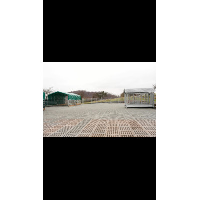 INB Paddockplatte, Reitplatzplatte,Quadratmeter 50 x 50 x 5,3 cm