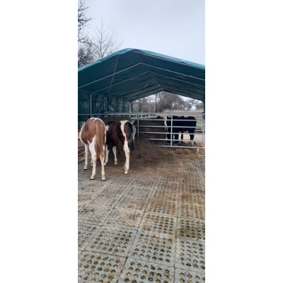 INB Paddockplatte, Reitplatzplatte,Quadratmeter 50 x 50 x 5,3 cm