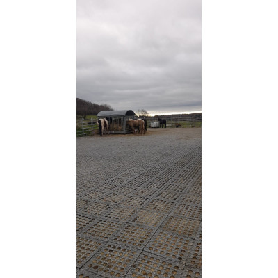 INB Paddockplatte, Reitplatzplatte,Quadratmeter 50 x 50 x 5,3 cm